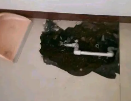 寿光卫生间测漏水多少钱